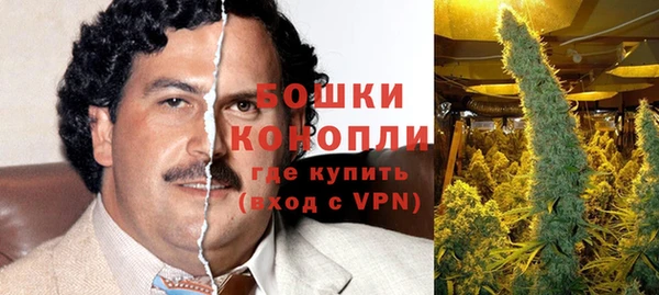 сатива Абдулино