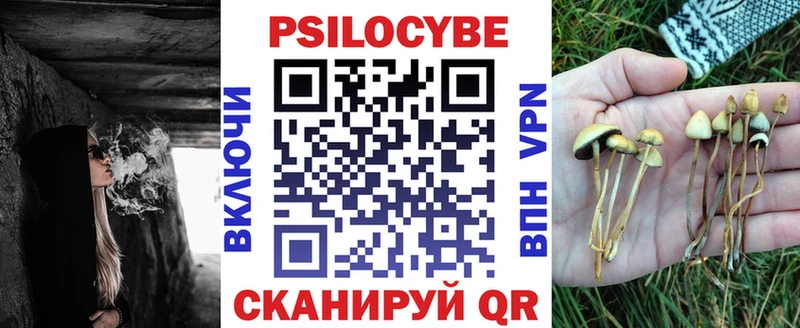 Псилоцибиновые грибы ЛСД даркнет сайт Кизляр